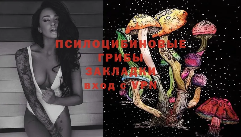 наркотики  Белогорск  Галлюциногенные грибы Magic Shrooms 